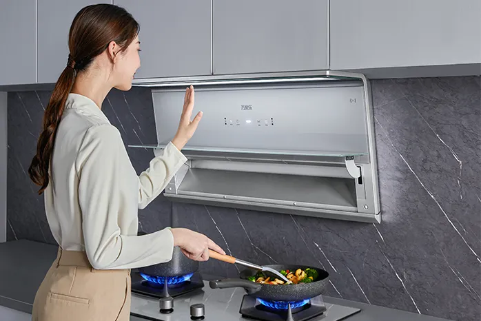 Escenarios de cocina: campanas de alcance, estufas y purificadores de agua Escenarios de cocina: campanas de alcance, estufas y purificadores de agua