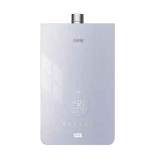 Calentador de agua de gas Z6L
