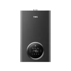 Caldera de gases de pared r6