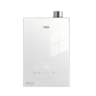 Calentador de agua de gas A2W